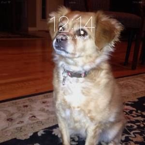 Meet your Posher, Jean